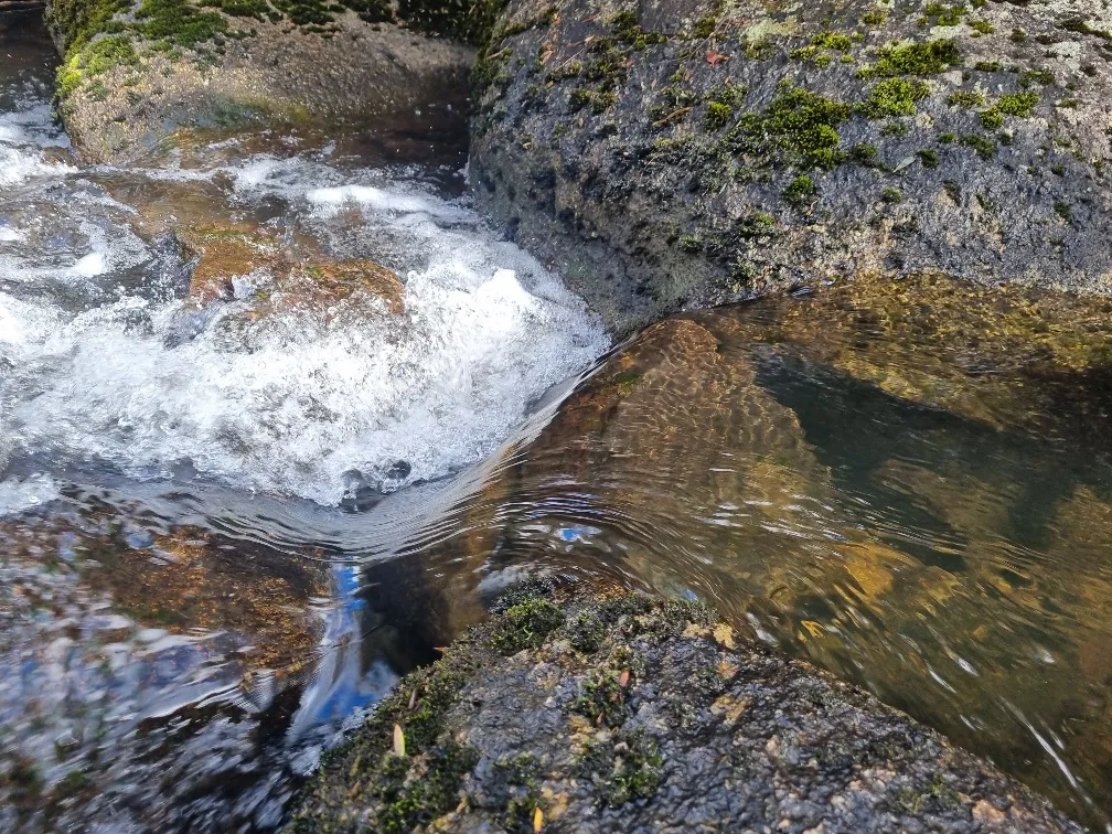 These cold mountain creeks and rivers look so clean and clear.