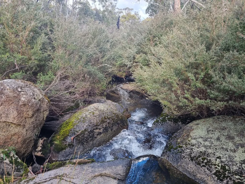 We are keen to get back here and explore more in summer or maybe even try to spend a whole winter season down this way. There are lots more trails to hike and I would even like to learn to cross country ski. Which would mean we could drop the expensive lift tickets and cruise around under our own steam.