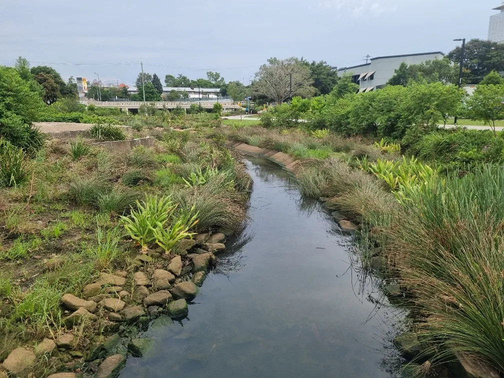 Below is how the creek used to look.