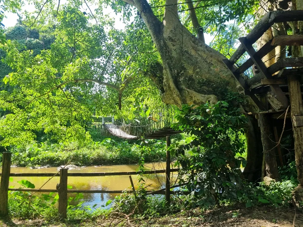 I just love a river crossing on an old style wood and wire rope bridge.