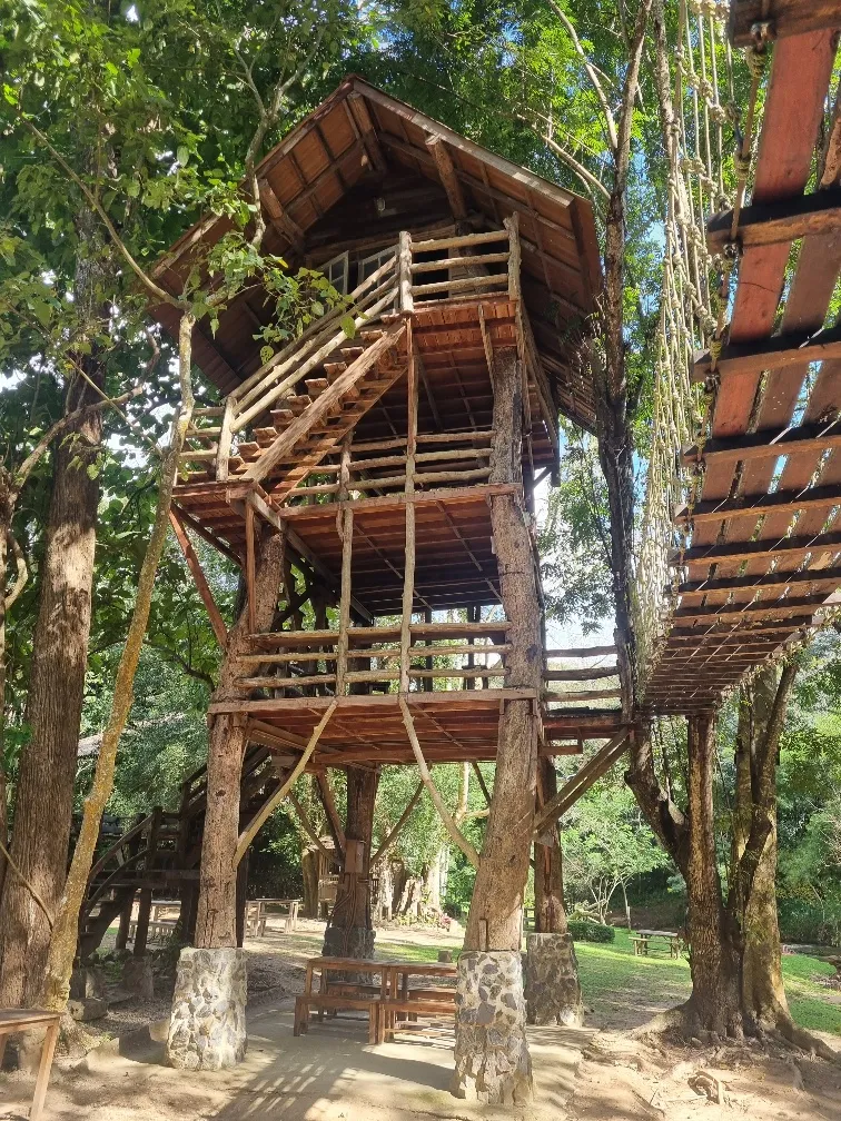 The Café may have not been an official tree house but there were plenty of others built all over the place,