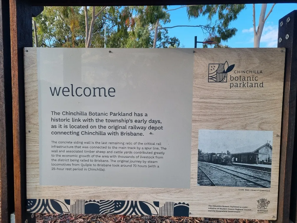 For a small town of seven thousand people, counted in the 2021 census, The Western Downs Regional council sure did a good job on the Chinchilla Botanic Gardens. Three Hundred kilometres is a long way west of Brisbane. There is a fair bit of farming and coal mining in the area so I suppose that along with some good management brings in bit of money to get things done.