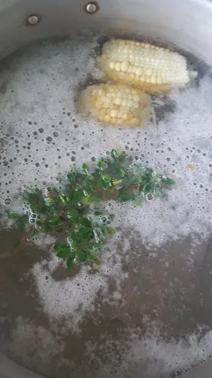 20180715_120443.jpg