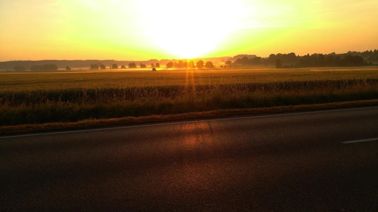 fields-in-the-morning-sun-a