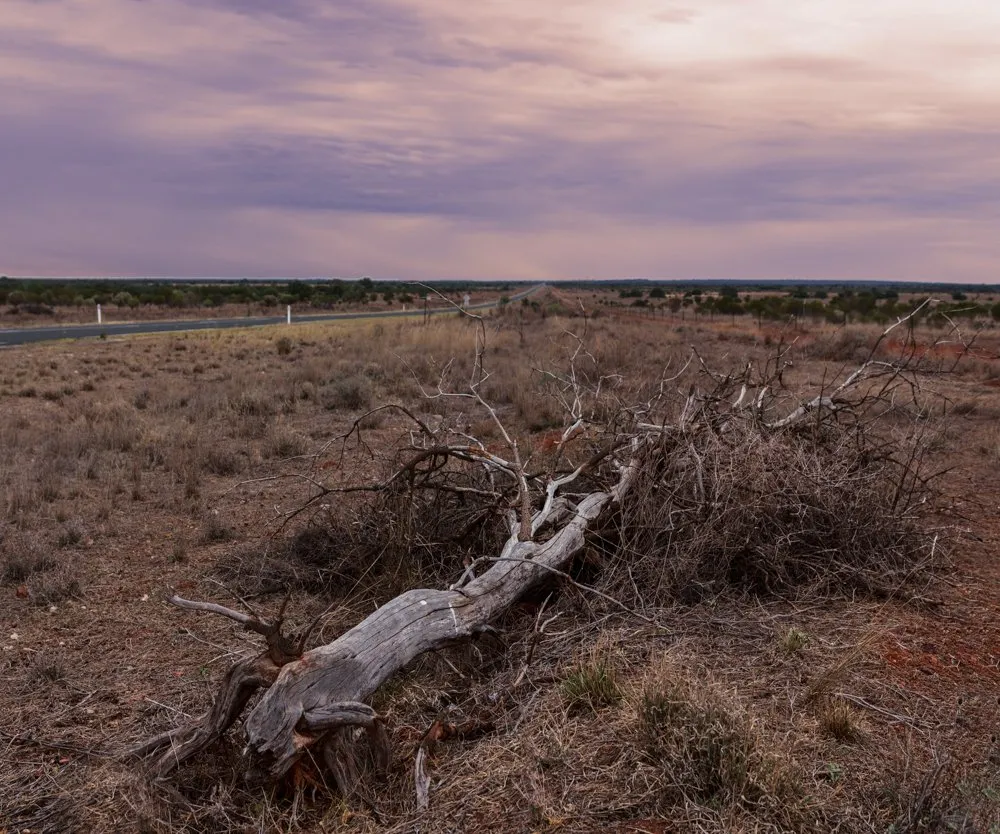 Outback Australia Road