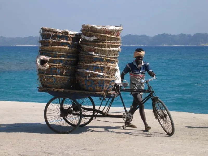 bike 01.jpg