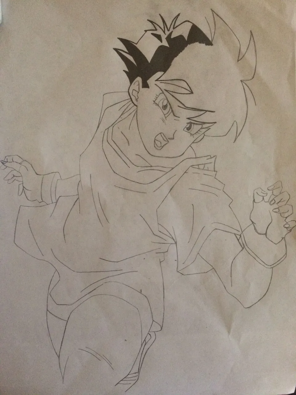 videl 8.JPG