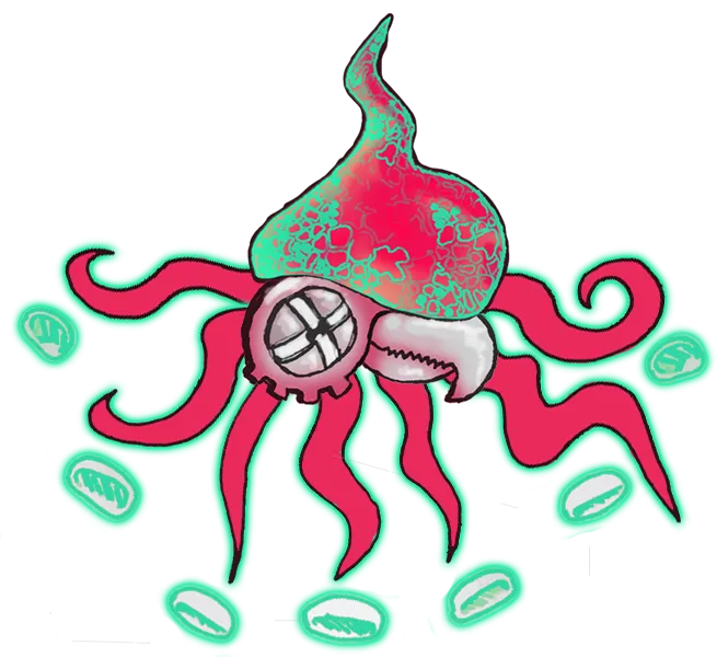 squid 1.png