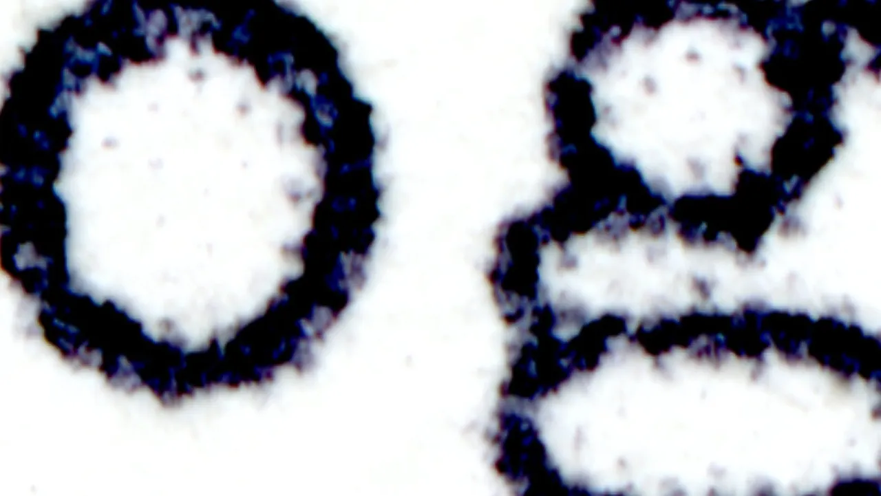 Infinite4.jpg