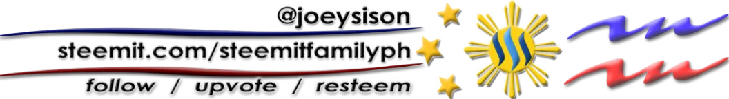 Joeysison.png