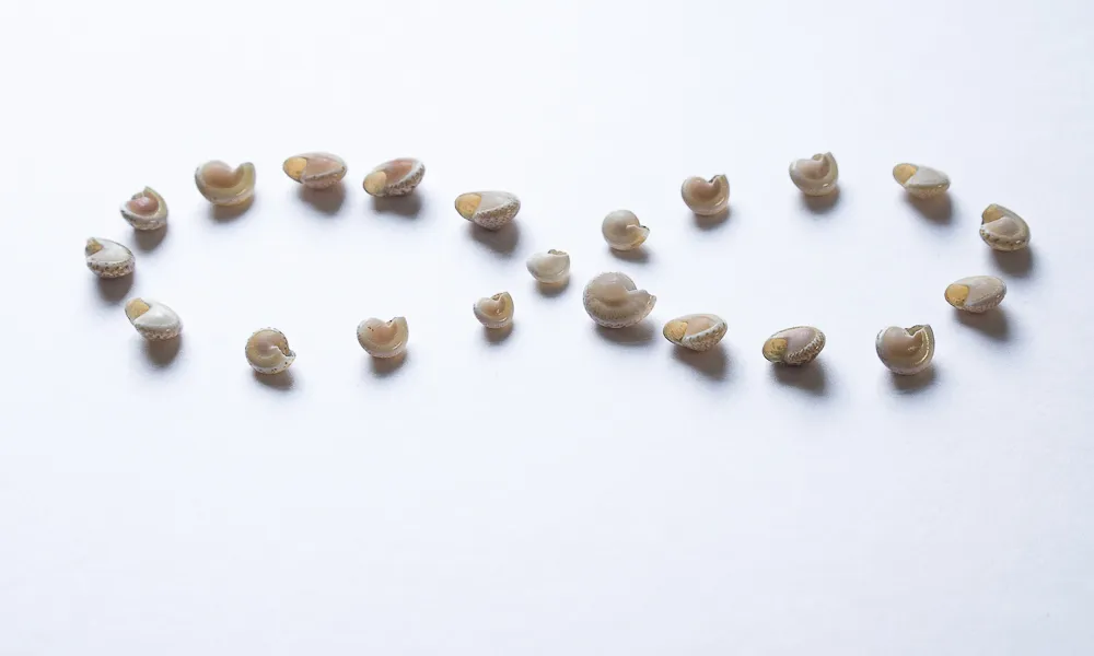 1000.S-15.jpg