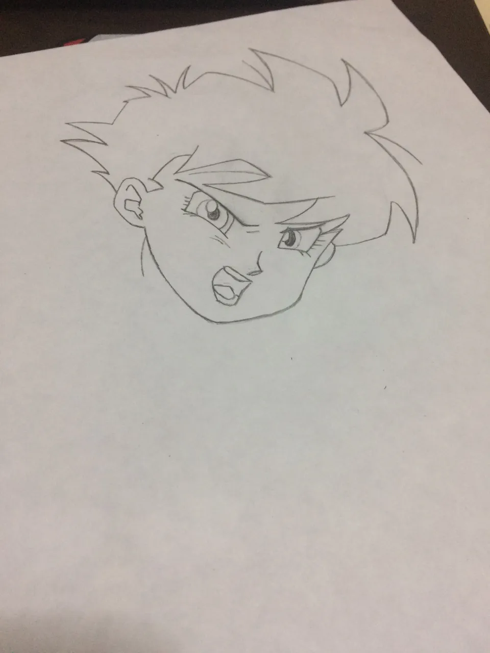 videl 2.JPG