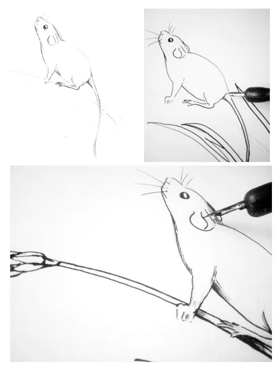 mousedraw.jpg