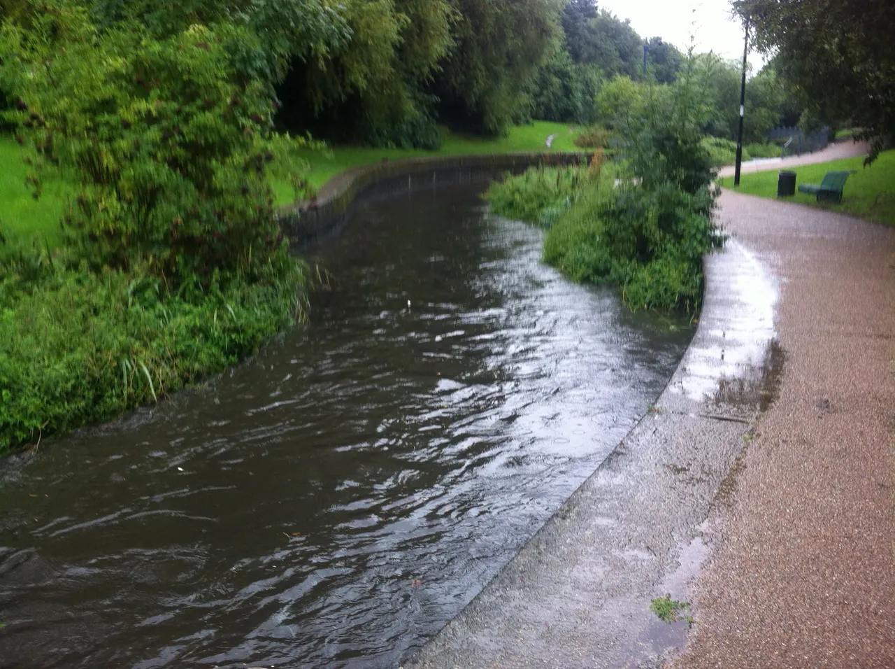 photo 1.JPG