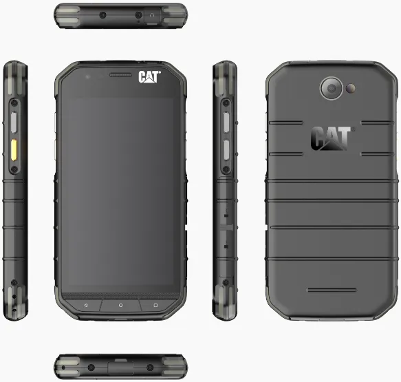 cat s31.png