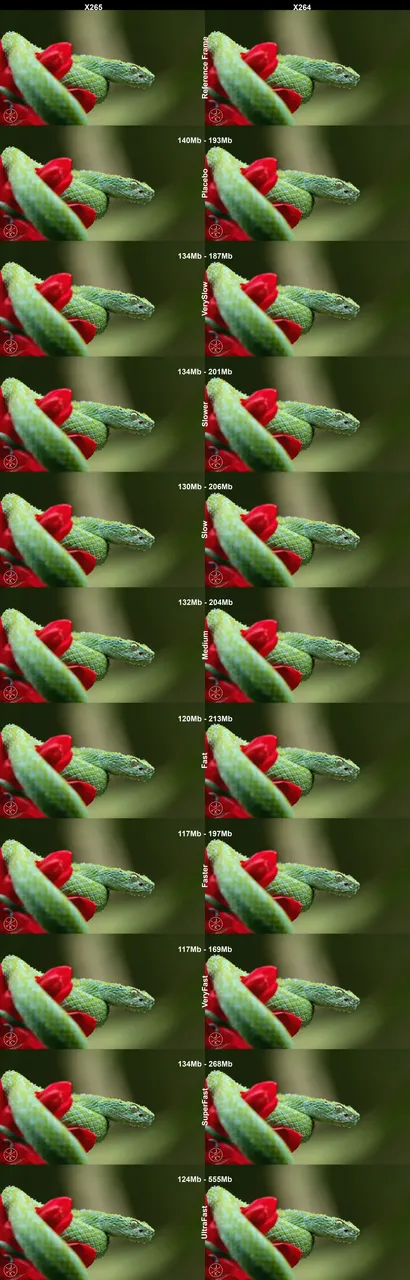 Pic1-Half.png