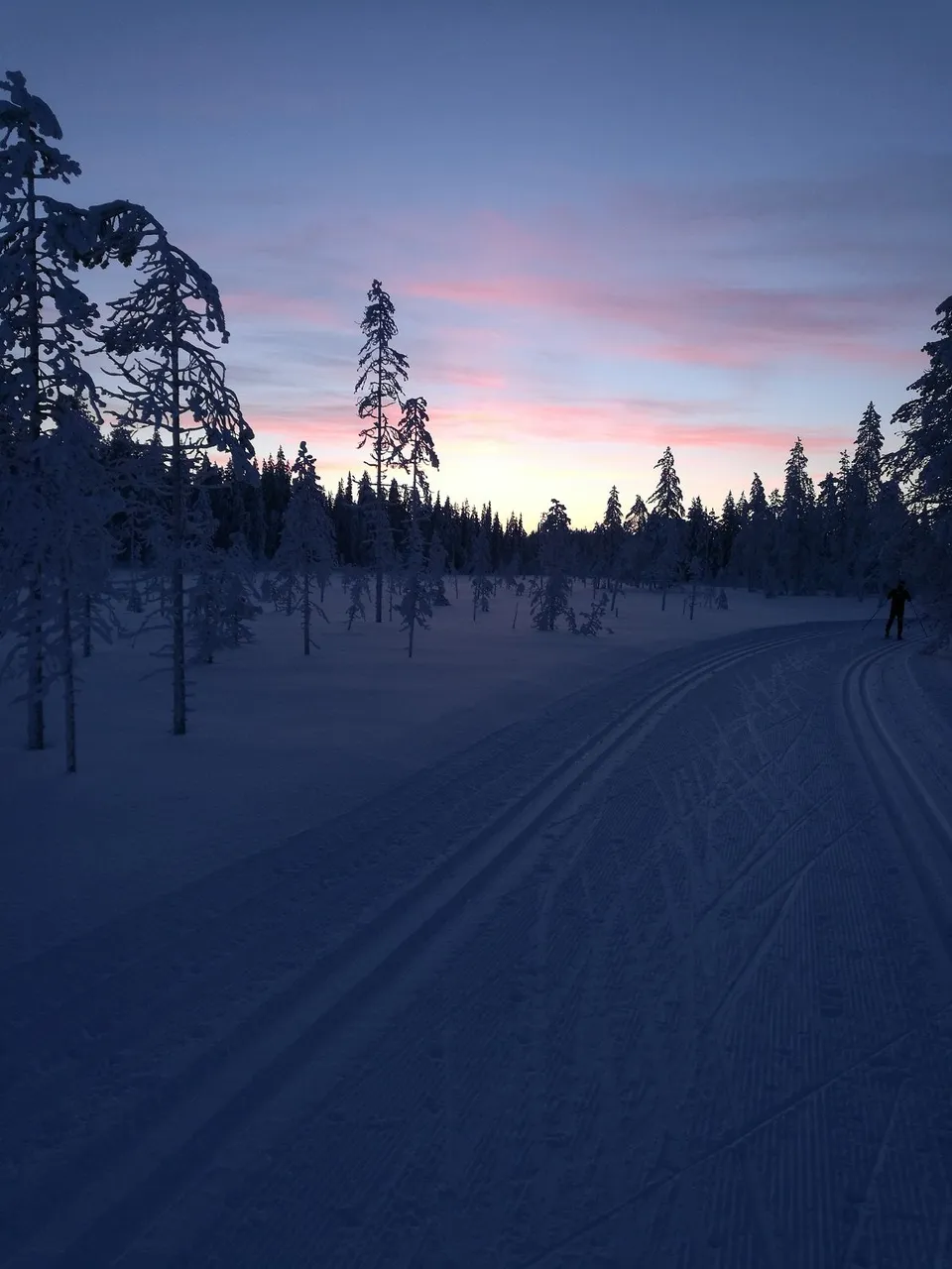 lappi 3.jpg