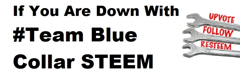 TeamSTEEM.jpg