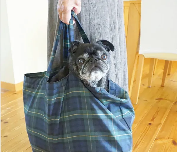 puginabag.png