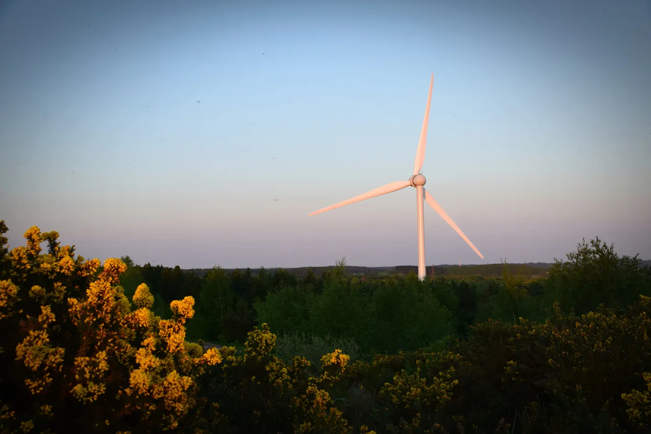 windmill2.JPG