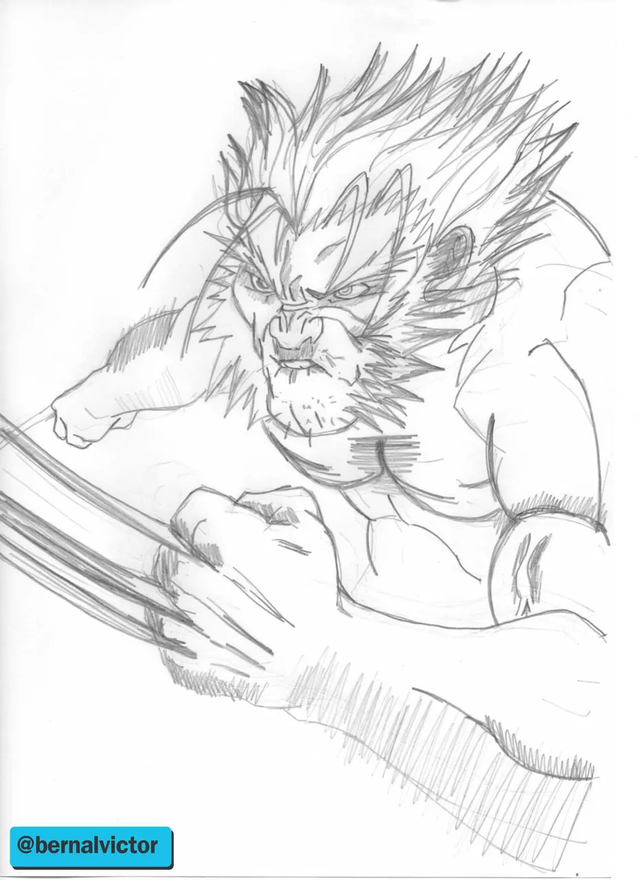 wolverine.jpg