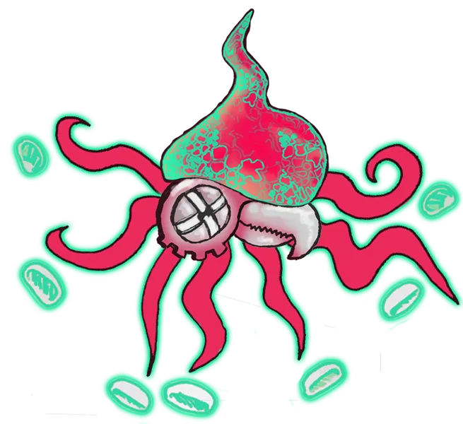 squid 3.png