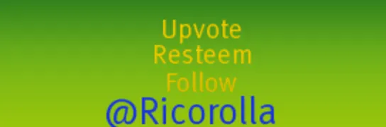 Ricorolla.png