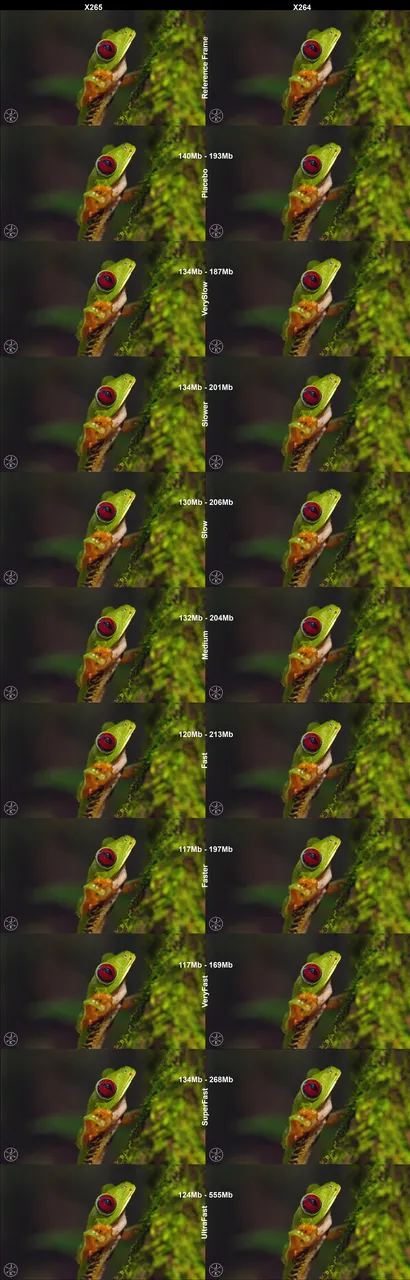 Pic2-Half.png