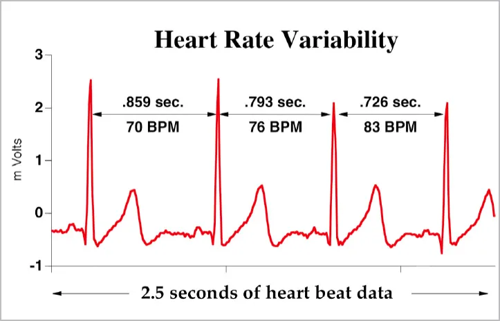 HRV_chart.png