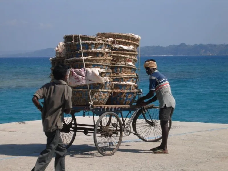 bike 02.jpg