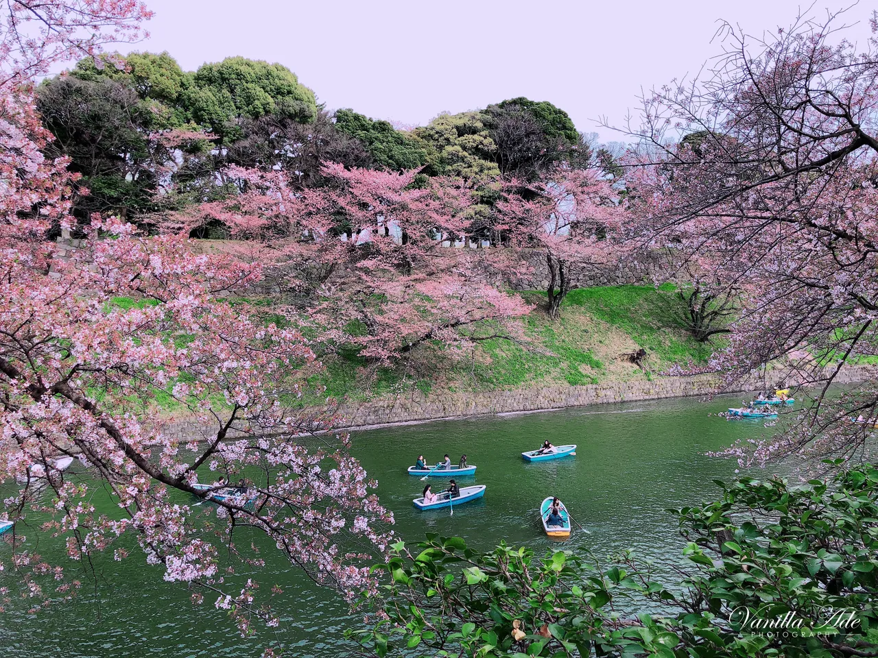 flowers-2.jpg