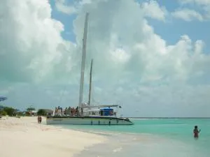 catamaran.jpg