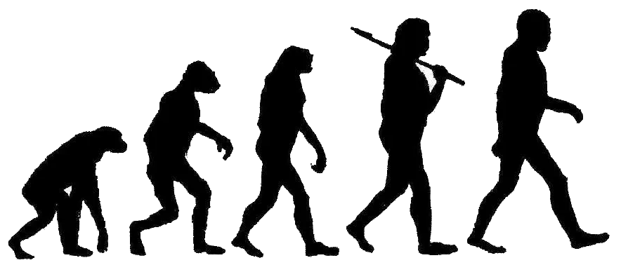 evolution.png
