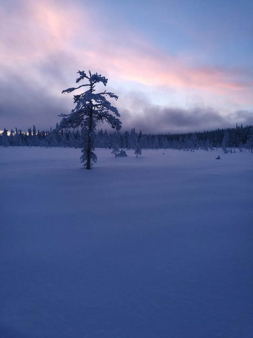 lappi 1.jpg
