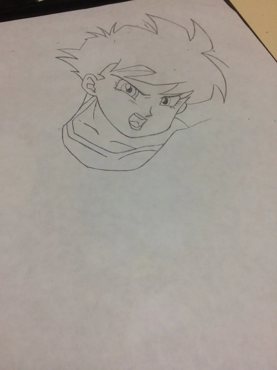 videl 3.JPG