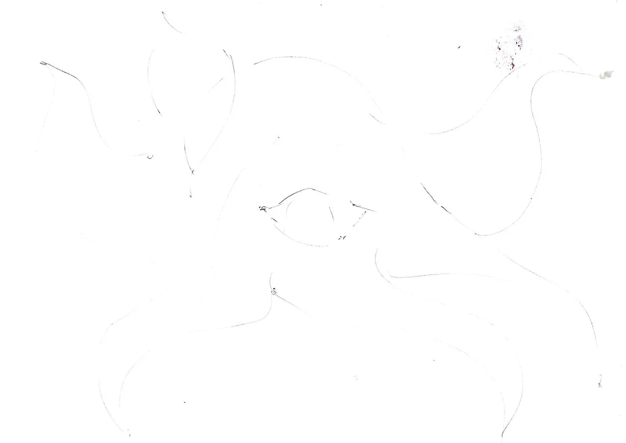 Scan_0001.jpg