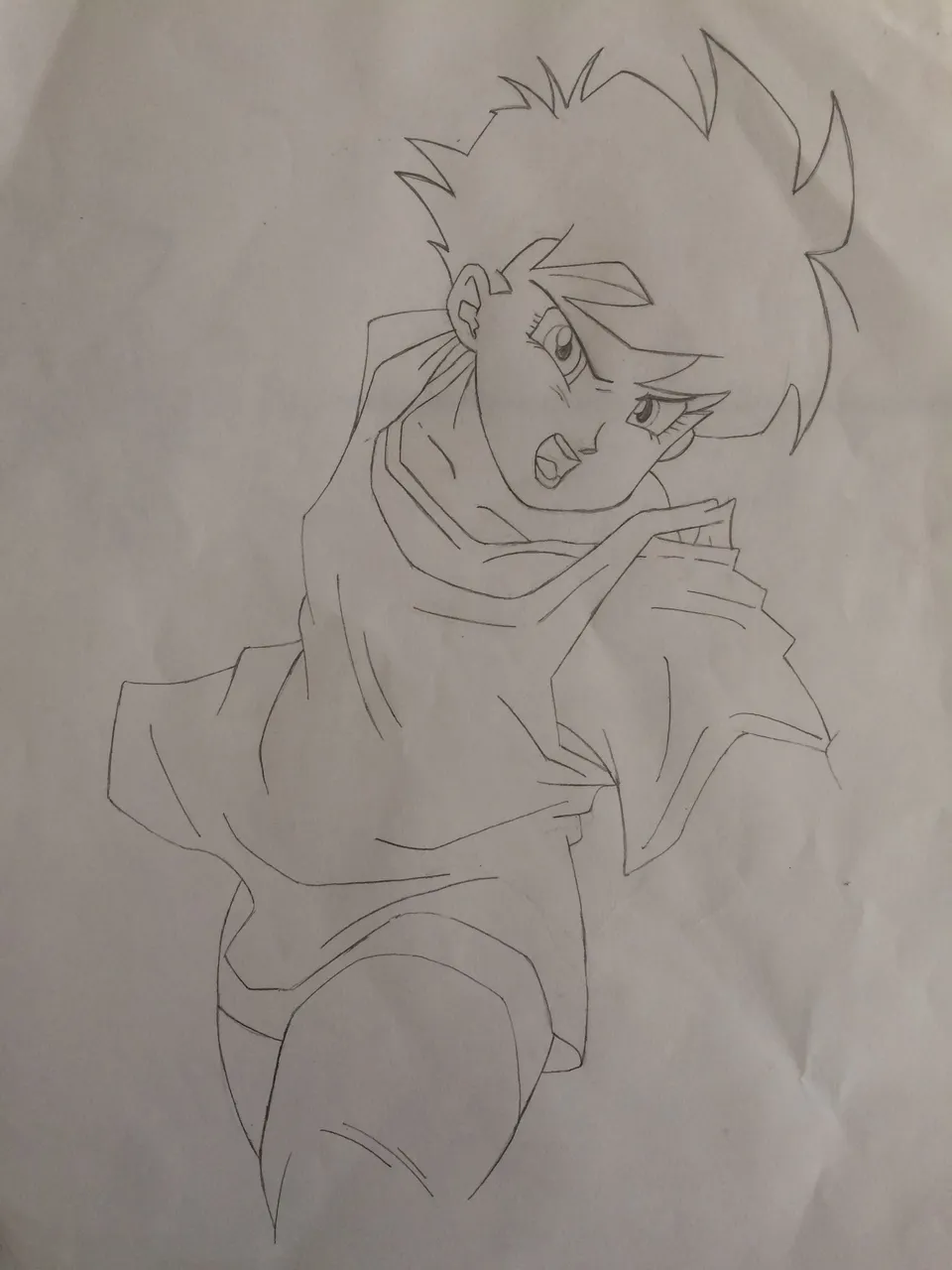 videl 6.JPG