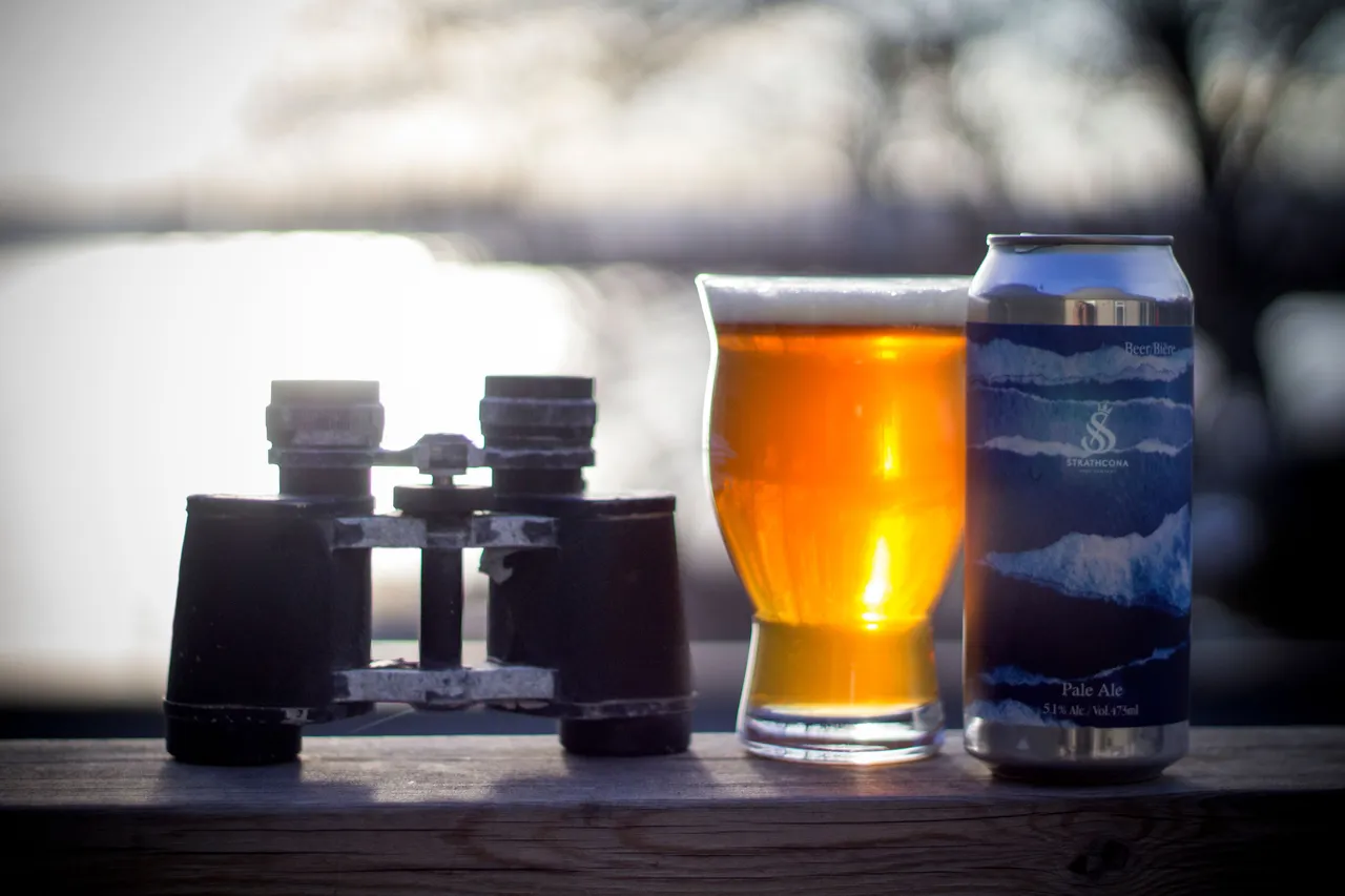 binobeer2.jpg