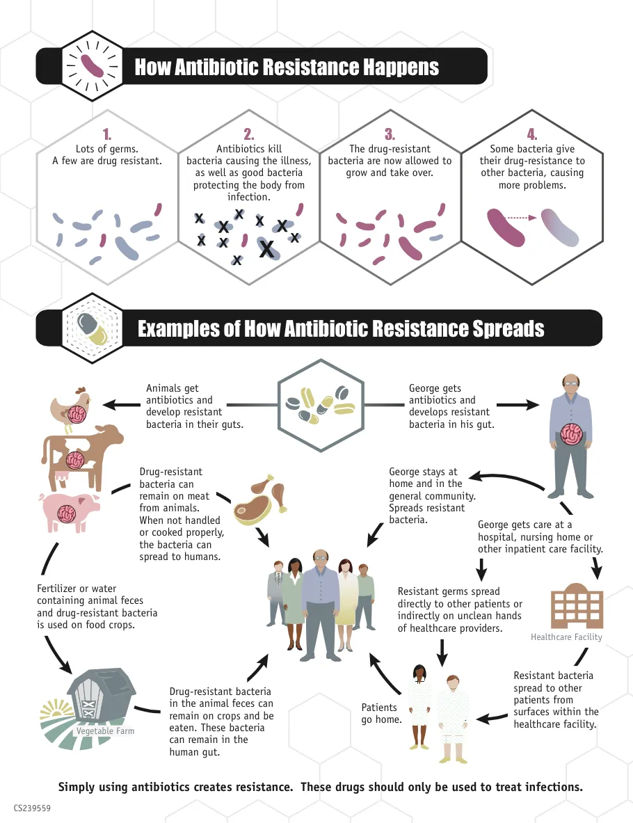 CDCinfographicANTIBIORESISTANCE.png