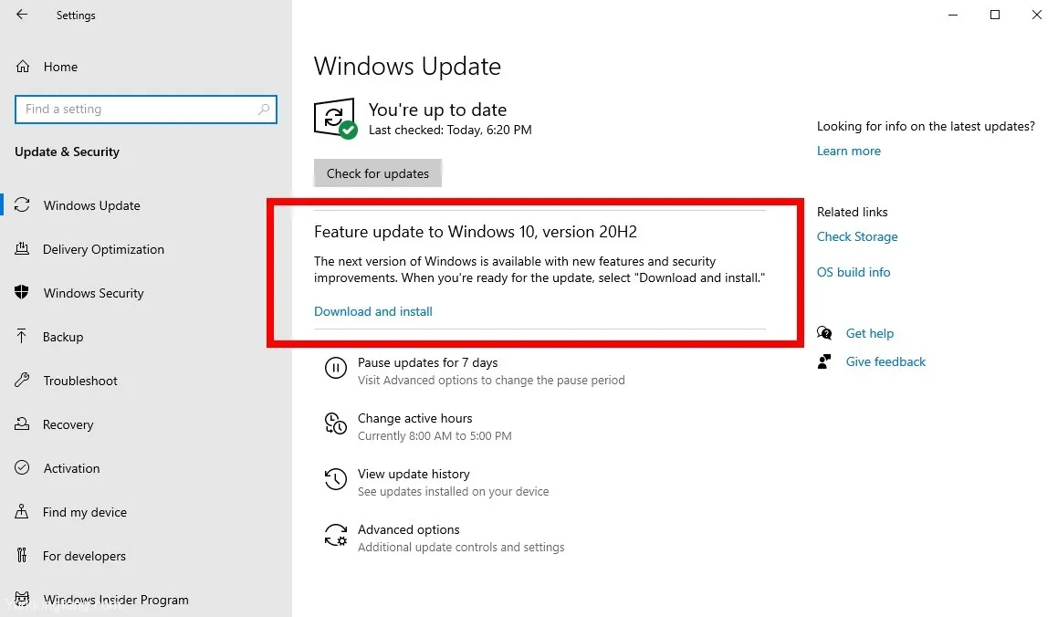 Windows-10-20H2-Release-Ring