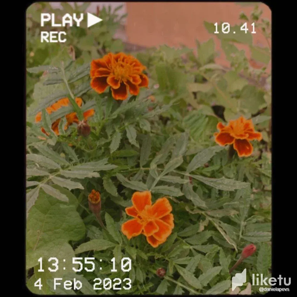 cldq99vho00gp67sz0wwidmz8_WhatsApp_Image_2023-02-04_at_15.36.37.webp