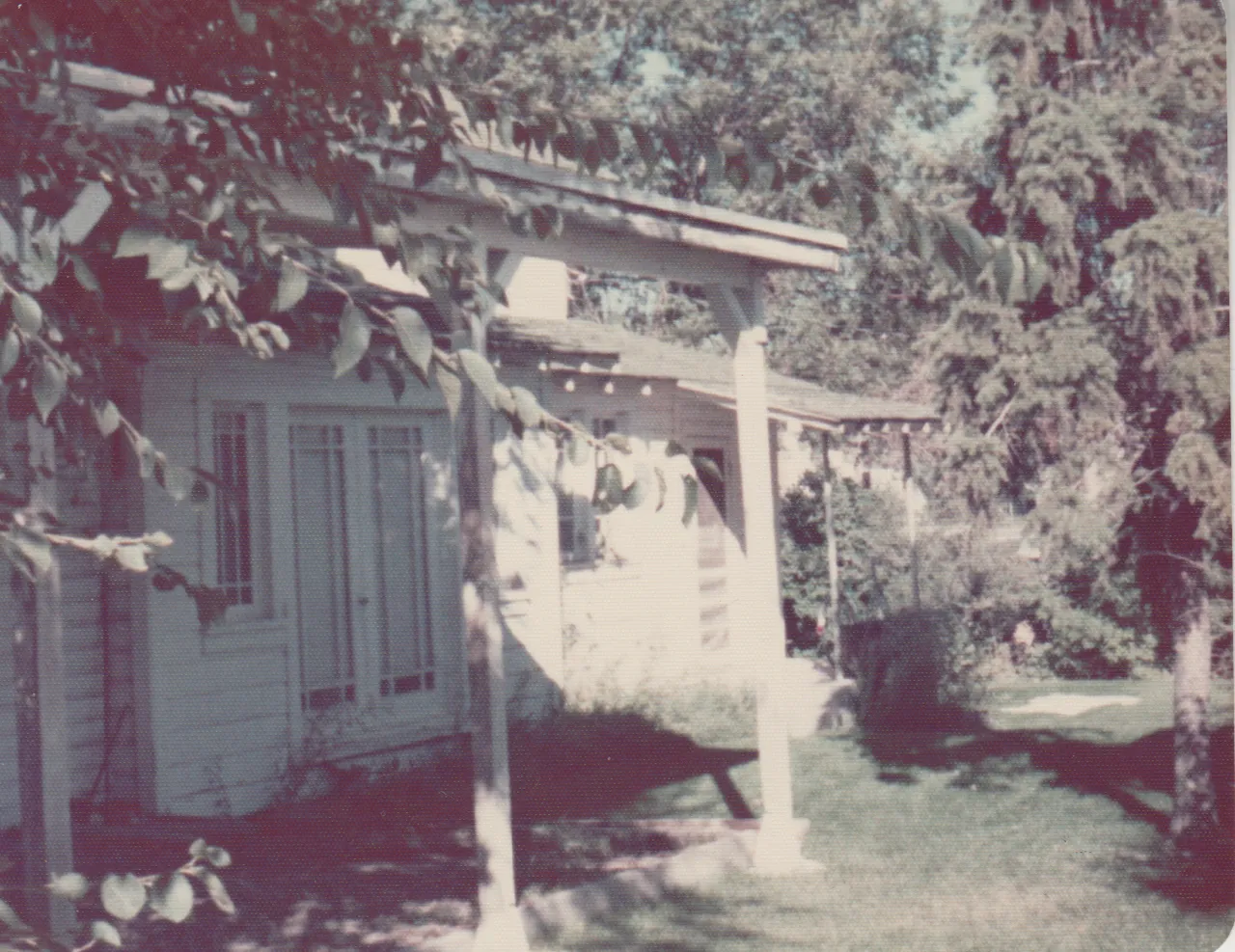 1974-09 - White house, outside, evergreen trees, dated September of 1974, 2pics-2.png