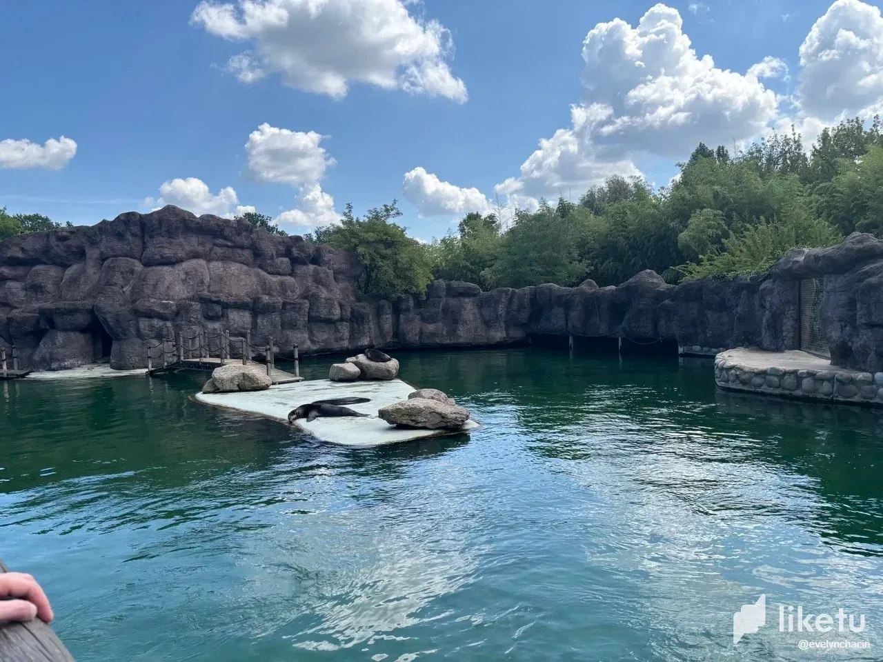 KSrhwFOkUDrxIOQR_photo_2025-07-20_22-41-38.webp
