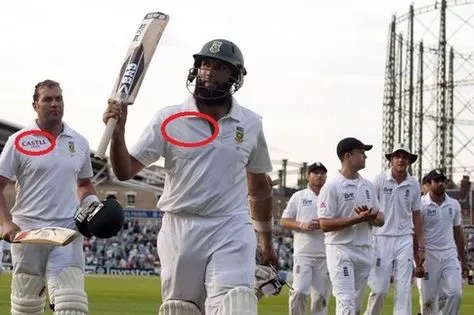 61f60420198103cf9c7ddbddcb6a46d8--hashim-amla-castle-logo.jpg