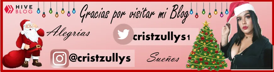 banner editado y diseñado por @cristzullys.png