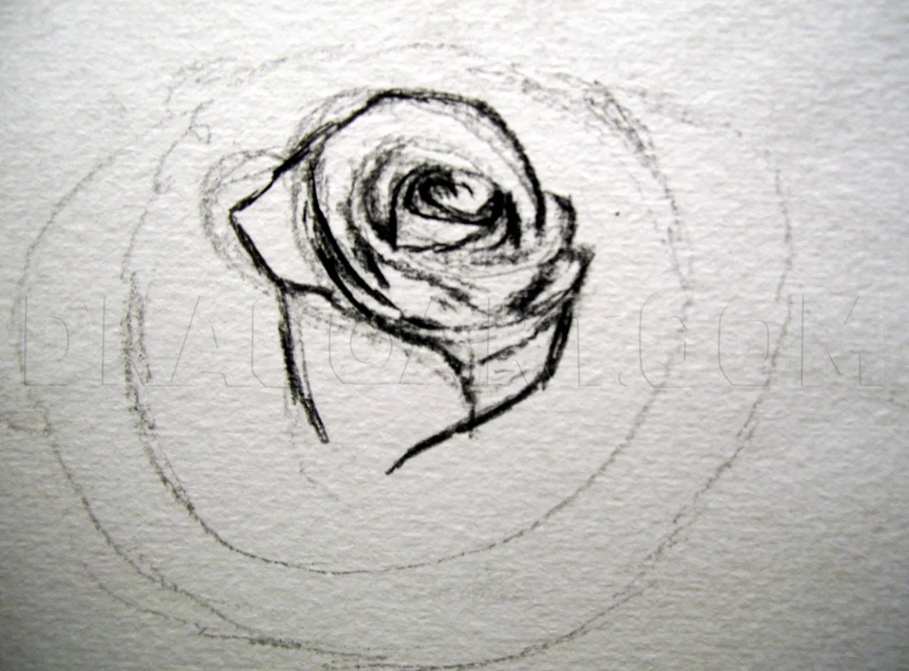 how-to-sketch-a-rose-step-10_5e4c87fdc43375.52007177_27036_3_3.jpg