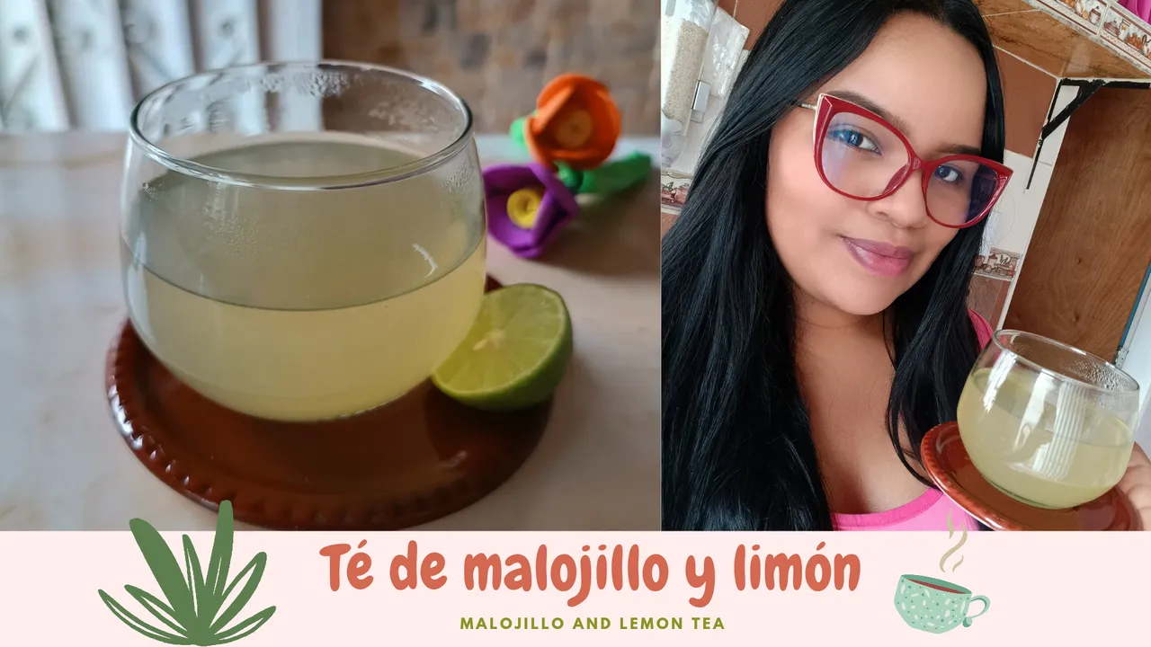 Té de malojillo y limón_20240420_124013_0000.png