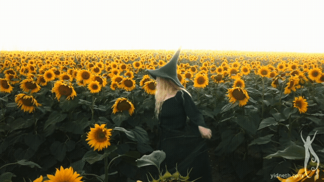Mother_ Lammas Summer Incantation _ Sunflowers (6).gif