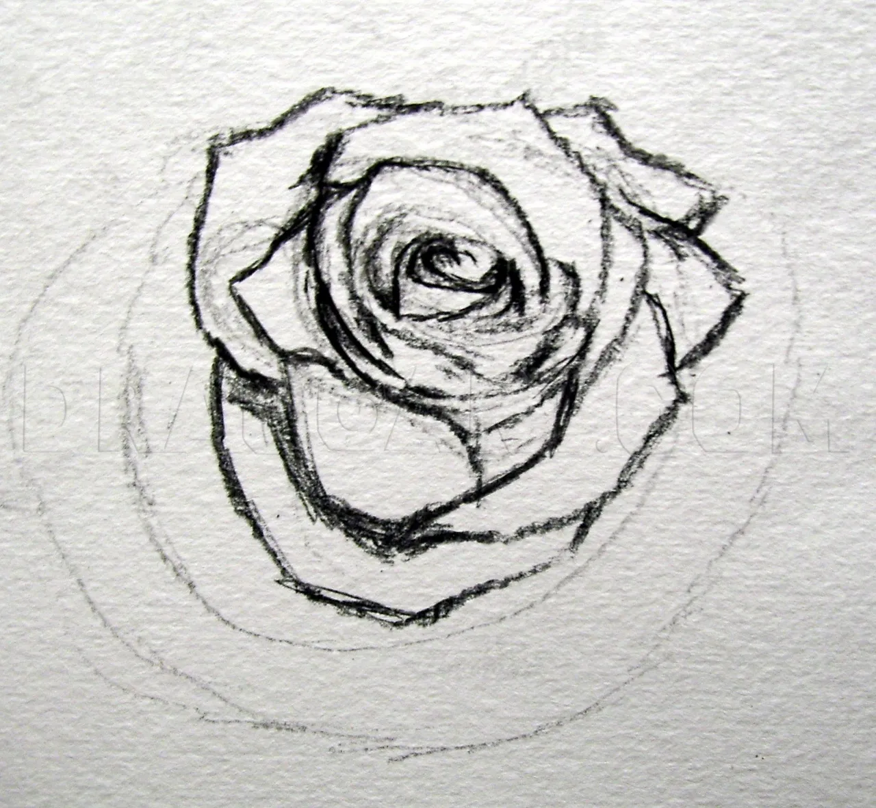 how-to-sketch-a-rose-step-11_5e4c87fe074849.08835996_27037_3_3.jpg