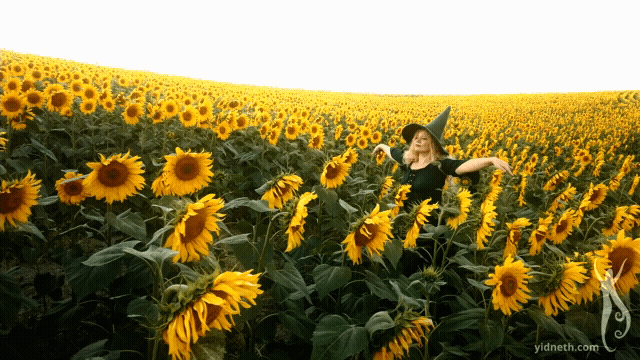 Mother_ Lammas Summer Incantation _ Sunflowers (1).gif